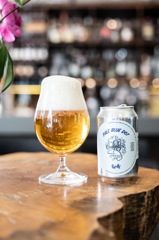 PALE BLUE DOT - Japanese rice lager