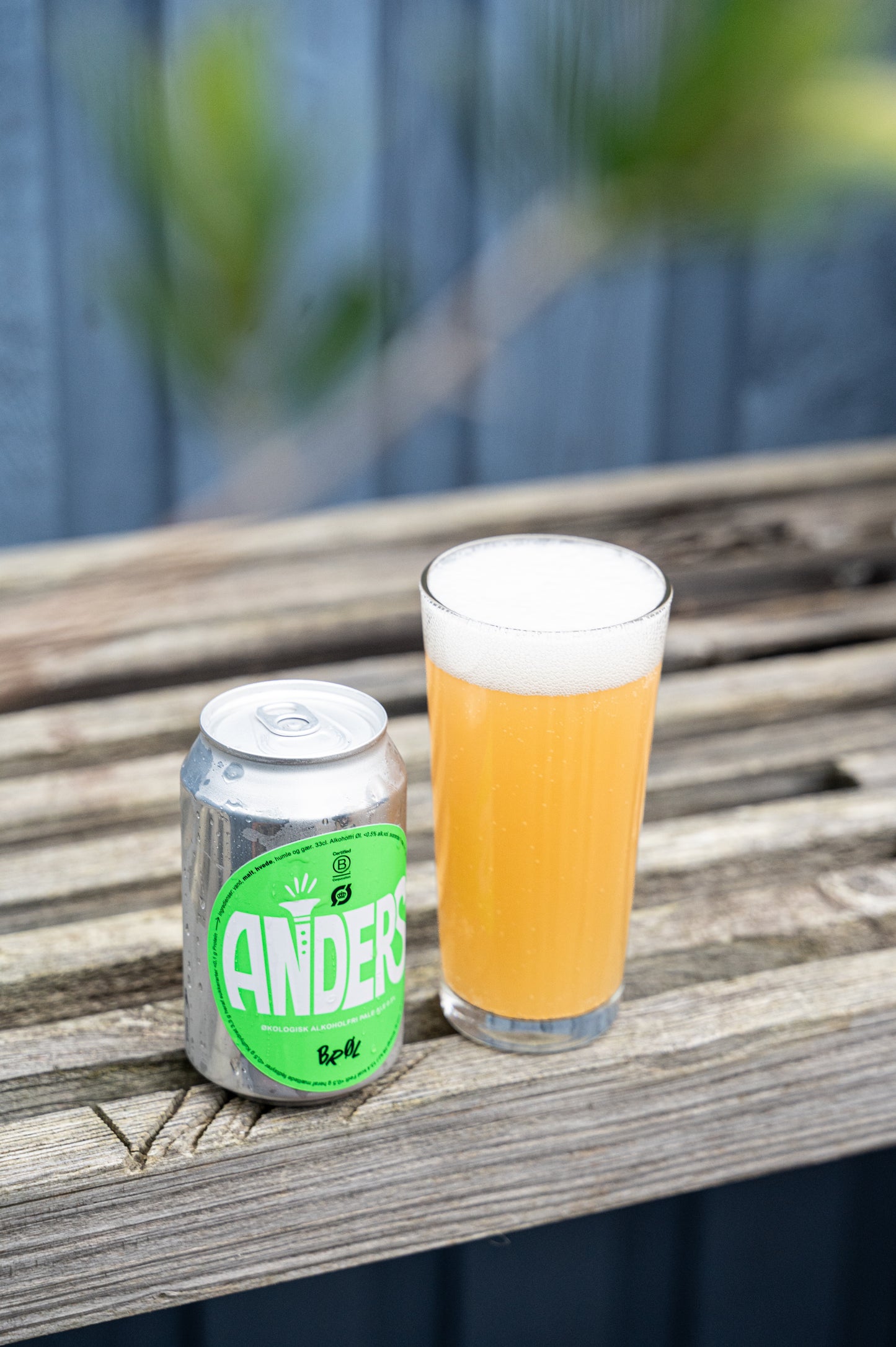 ANDERS - Organic Pale Ale 0.5% (6-pack)